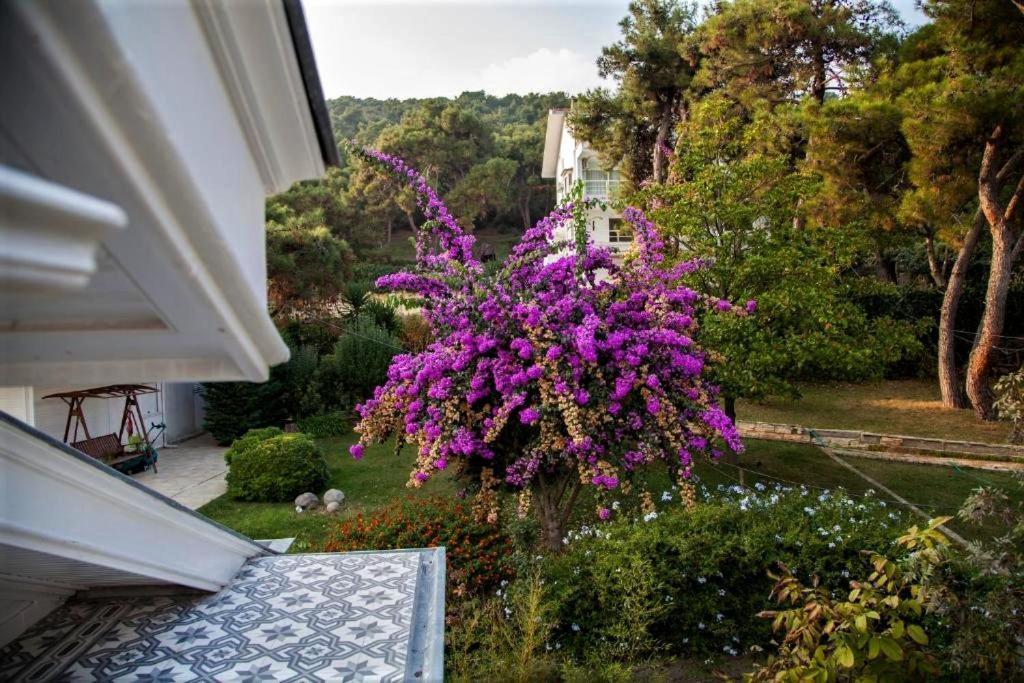 Triada Hotel Bueyuekada Prinseneilanden Buitenkant foto